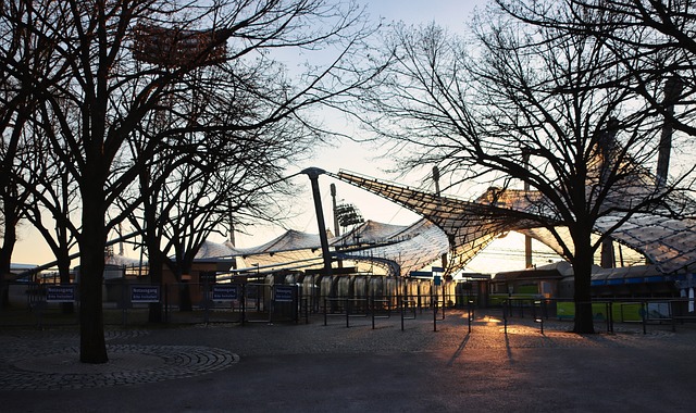 的健康问题 的健康问题