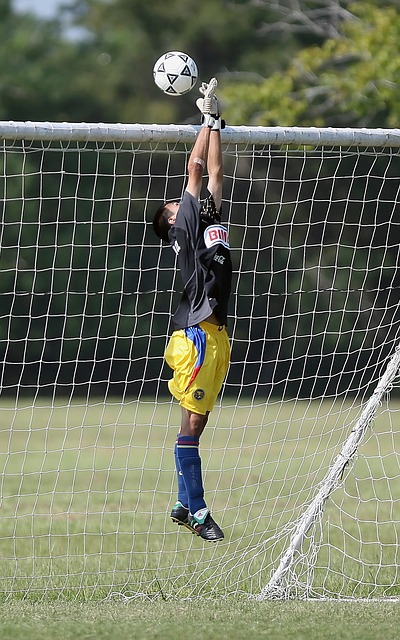 戰術革新與 戰術革新與