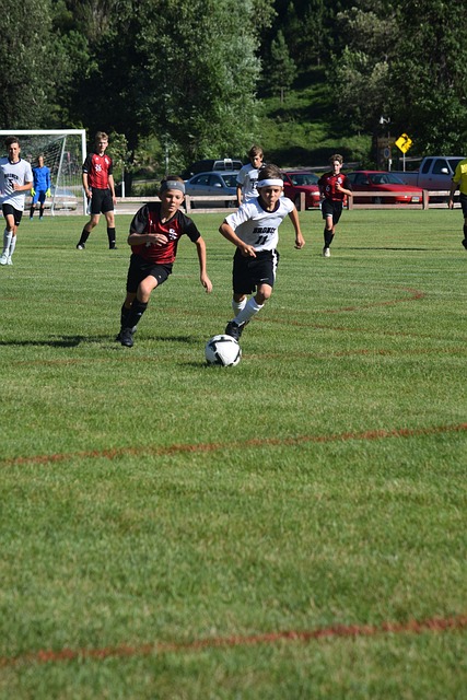 风一直以来 风一直以来