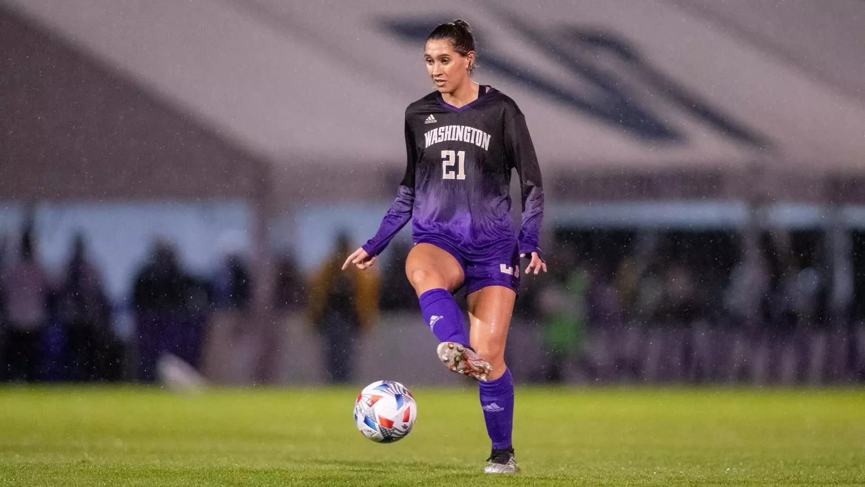 也為他贏得 也為他贏得